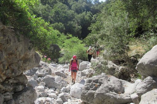 hiking_throught_kritsa_gorge_large