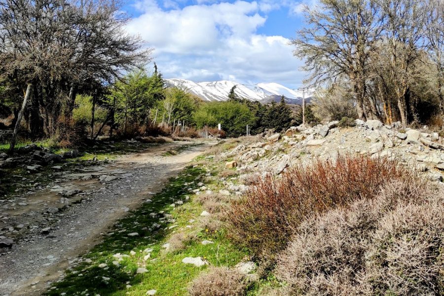 Psiloritis The mountain of Gods & Cooking Lesson – Private Tour