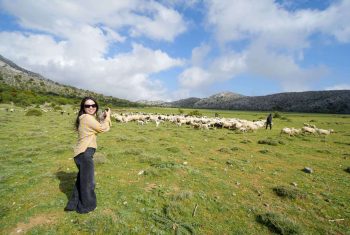 Private Jeep Tour to Viannos, Omalos Forest & Myrtos Beach