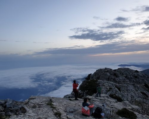 Αρχείο εικόνας WhatsApp 2025-02-26 στις 14.45.57_de7d9031